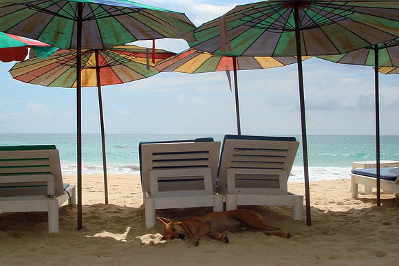 Surin Beach