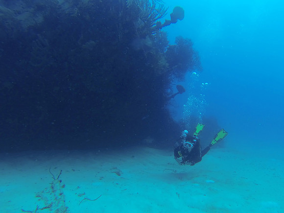 Barbados