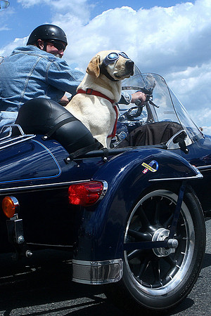 Rolling Thunder