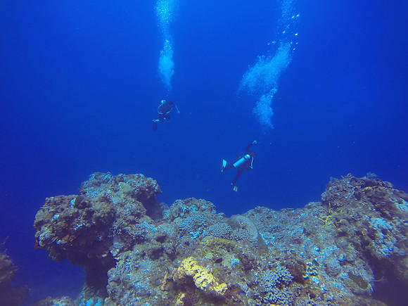 Santa Rosa Wall
