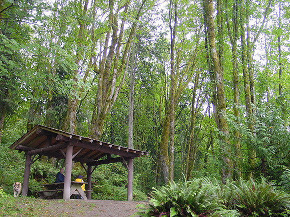Gig Harbor, WA