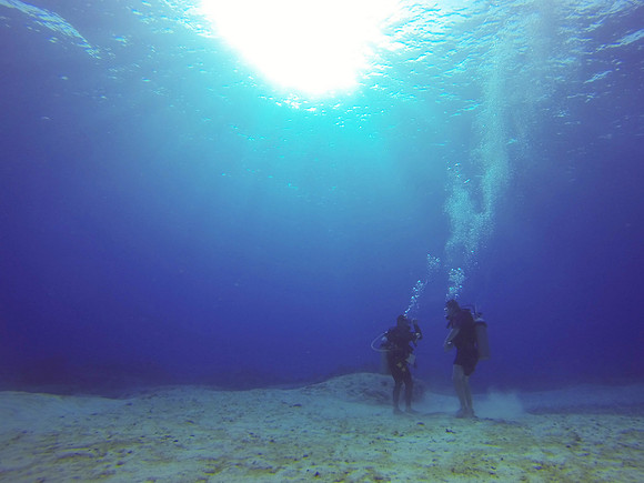 Check out dive
