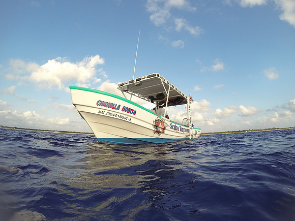 Scuba Tony's
