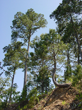 Broken Bow